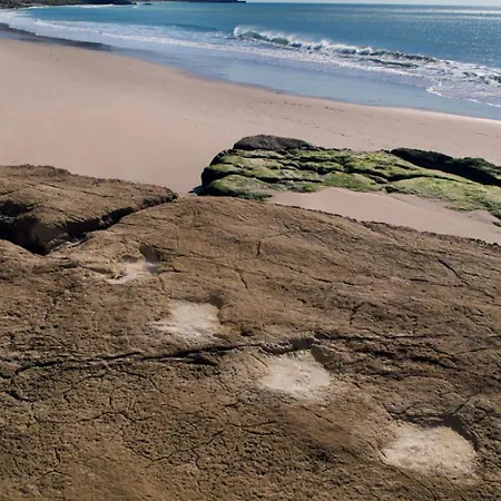 アパート 205 Casa Cactus