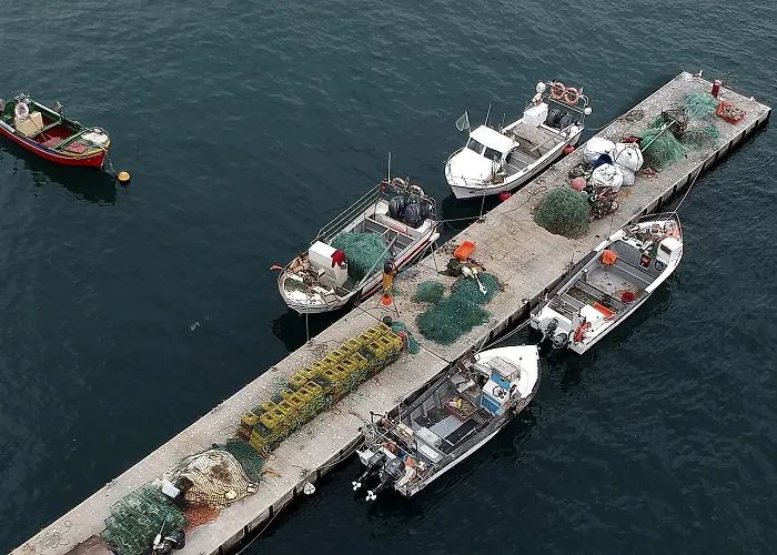 205 Casa Cactus Appartement *